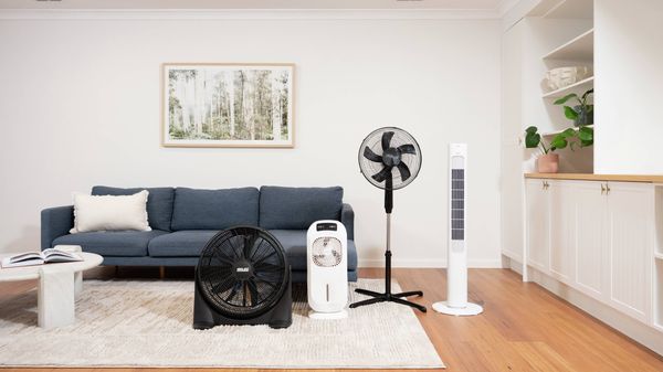 Range of cooling appliances including a floor fan, evaporative cooler, tower fan and air circulator displayed in a modern living room with a blue sofa and timber flooring.