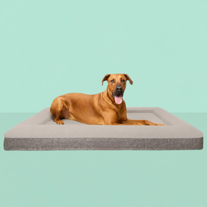 Best Orthopedic Dog Bed | Fur King "ortho" - Xl