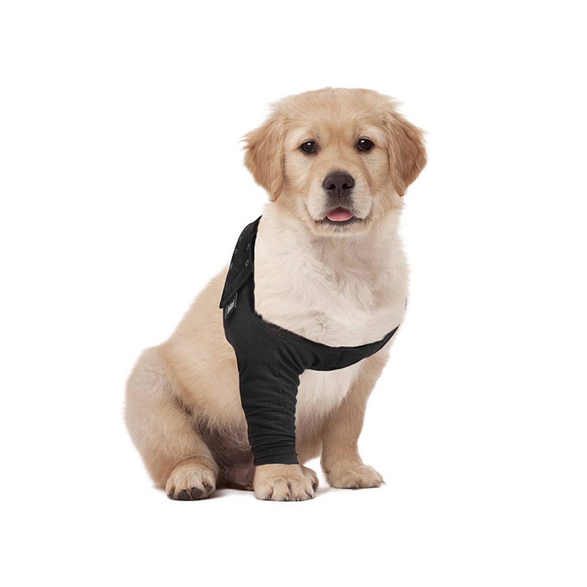 Suitical Recovery Sleeve Per Cani - XL, Nero, Protezione Zampe - Foto 8