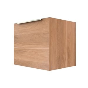 Stein 600 x 450 x 500mm Light Select Wall Hung Silver Integrated Handle Vanity - Cabinet Only  