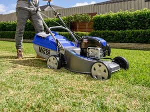 Person pushing blue Victa lawn mower over lawn