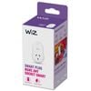 WIZ Plug Smart Accessory