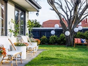 A decorated garden with some white balls, colourful flowers and two white chairs.