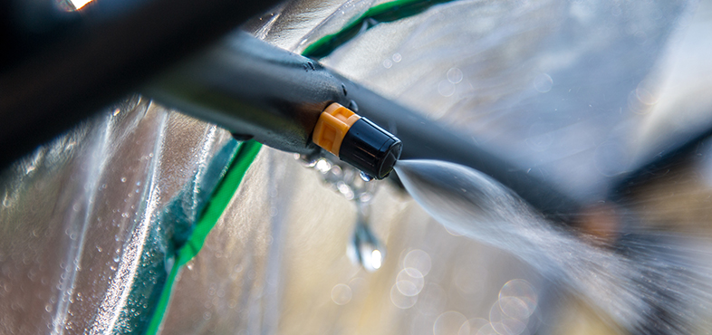 Misting system in greenhouse spraying