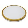 Hector-480 IP65 LED Ceiling Light - Gold