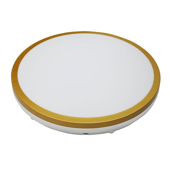Hector-480 IP65 LED Ceiling Light - Gold