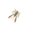 Berkley Gulp Crabby 2" Soft Plastic Fishing Lure Camo