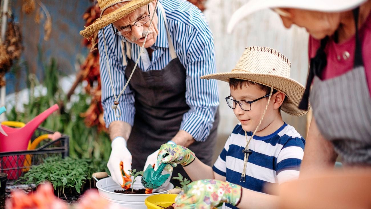 An older adult and a young child wearing straw hats and gardening gloves work together to plant seedlings into soil, using small tools and colourful pots
