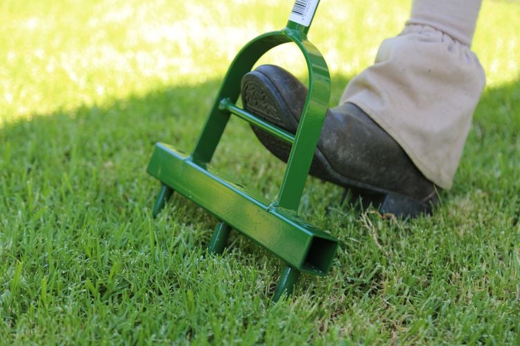 A hard lawn being loosened up using a lawn aerator