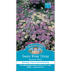 Mr Fothergill's Seed Daisy Swan River Summer Skies