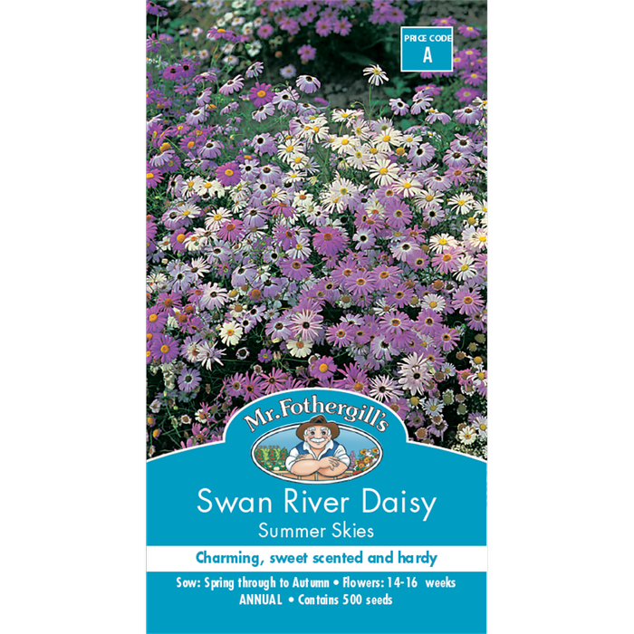 Mr Fothergill's Seed Daisy Swan River Summer Skies