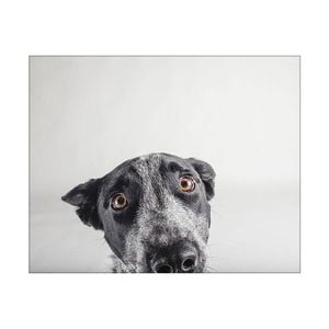 Artey | Blue Zuck - Stretched Canvas - Stretched Canvas - 55 x 70cm