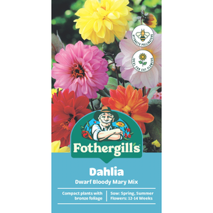 Fothergill's Dahlia Dwarf Bloody Mary Mix Seeds