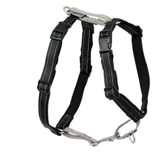 PetSafe Black 3-in-1 Harness and Car Restraint - Medium 