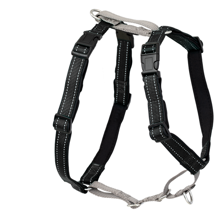 PetSafe Black 3-in-1 Harness and Car Restraint - Medium 