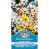 Mr Fothergill's Dimorphotheca Limpopo Mix Seeds