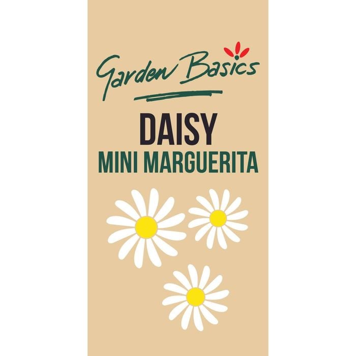 Garden Basics Daisy Mini Marguerita Seeds
