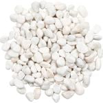 Tuscan Path 10 - 15mm 1.5kg White Decorative Pebble