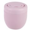 Oasis 470ml Stainless Steel Double Wall Insulated Food Pod - Carnation