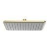 Mondella Brushed Brass Overture Shower Rose