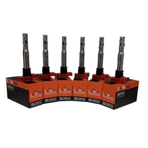 6-Pack SWAN Ignition Coil for Volkswagen Touareg 2010-2012 V6 TSI Hybrid