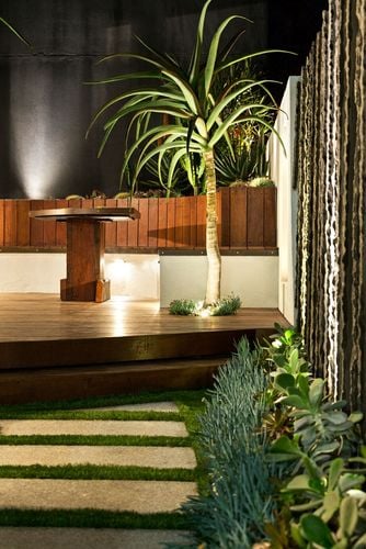 Pavers leading to a deck incorporating a palm tree at night