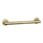 evekare 450mm Brushed Brass Linear Grab Rail