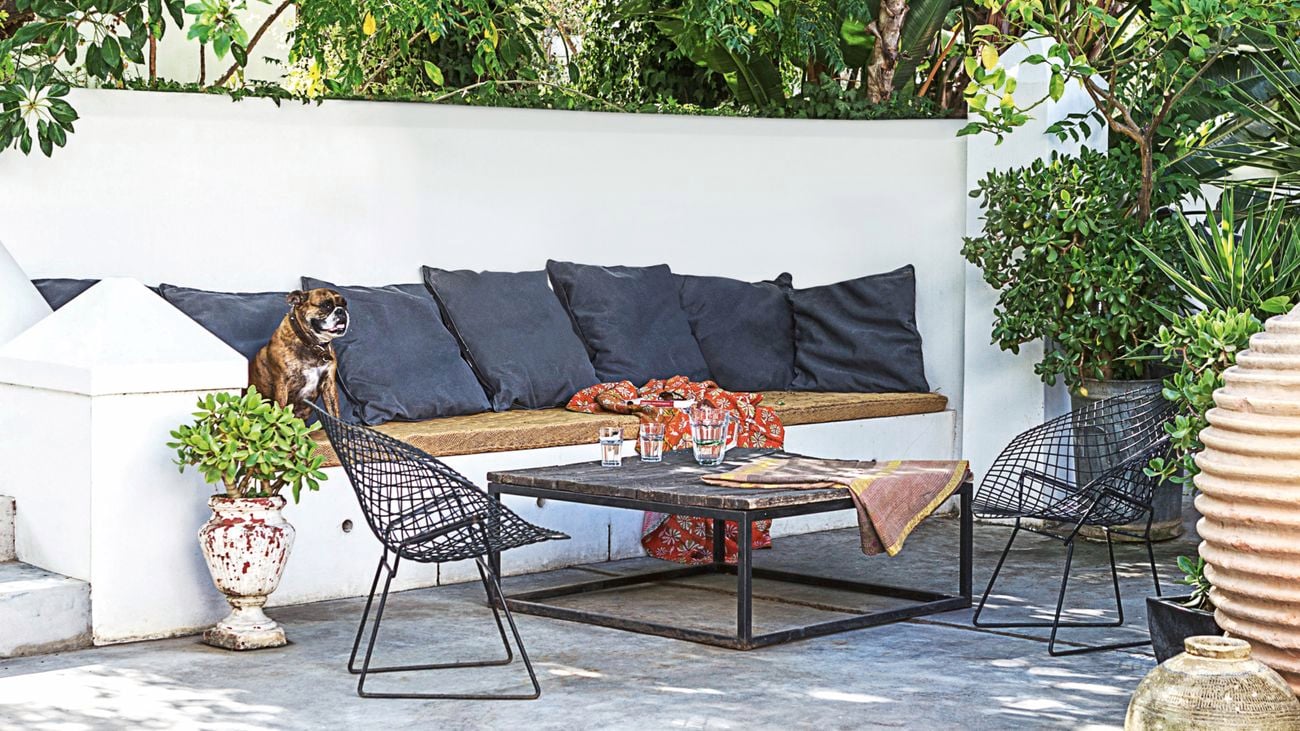 A dog is perched on an ourdoor bench sofa in front of a hard-wearing coffee table and surrounded by potted plants