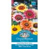 Mr Fothergill's Chrysanthemum Rainbow Mix Seeds