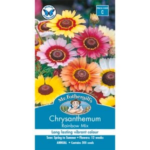 Mr Fothergill's Chrysanthemum Rainbow Mix Seeds