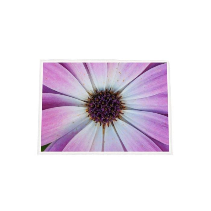 Galrie Vibrant Violet Pollen Fine Art Prints for Home Decor, White Frame, A3 30 x 42cm (12 x 16inch)
