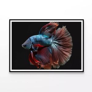 Fish Swimming In the Water  Print 100% Australian Made 90x60cm  (Poster)