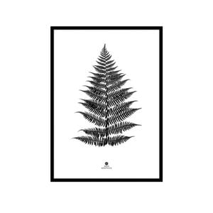 Modern Furniture Large Fern Print 74x54cm in Black Frame