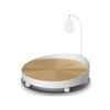 TODO Cat Scratching Tray Pet Scratcher