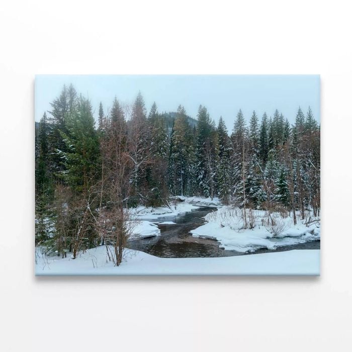 A River with Trees in winter   Print 100% Australian Made 150 x 100cm  (Stretched)
