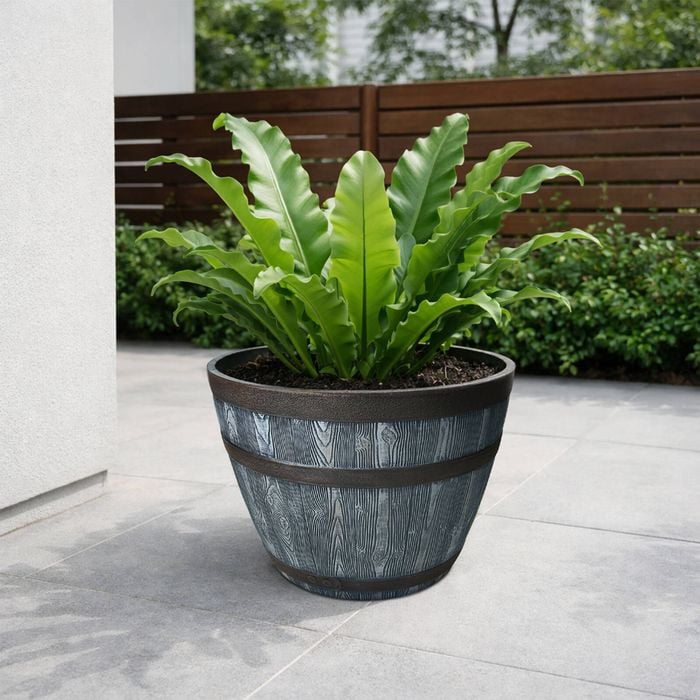 EDEN 40cm Grey And Bronze Whiskey Half Barrel Planter