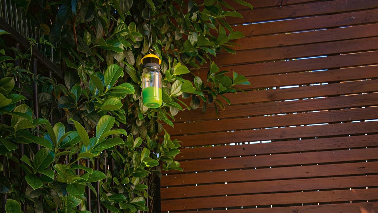 EnviroSafe fly trap hung above a dog kennel