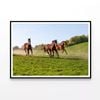 Horses at Full Gallop View   Print 100% Australian Made 90x60cm  (Poster)