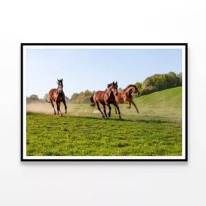 Horses at Full Gallop View   Print 100% Australian Made 90x60cm  (Poster)
