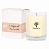 Nicola Spring 160g Soy Wax Scented Candle - Tropical Sunrise - 28 Hour Burn Time Relaxation Aromatherapy Gift Ready Jar Candle