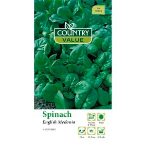 Country Value Seed Spinach English Medania