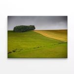 A Large Green Field with a Tree  Print 100% Australian Made 120 x 90cm  (Stretched)
