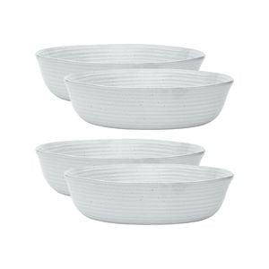 4PK Ecology Ottawa Lichen 22cm Stoneware Dinner Bowl - Grey