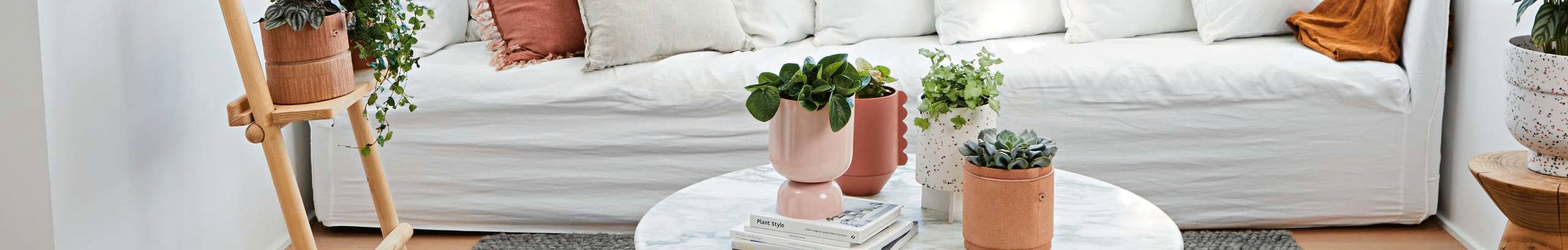 Bright lounge area with a white couch, cushions, tree views, coffee table, decorative ladder and potted plants.