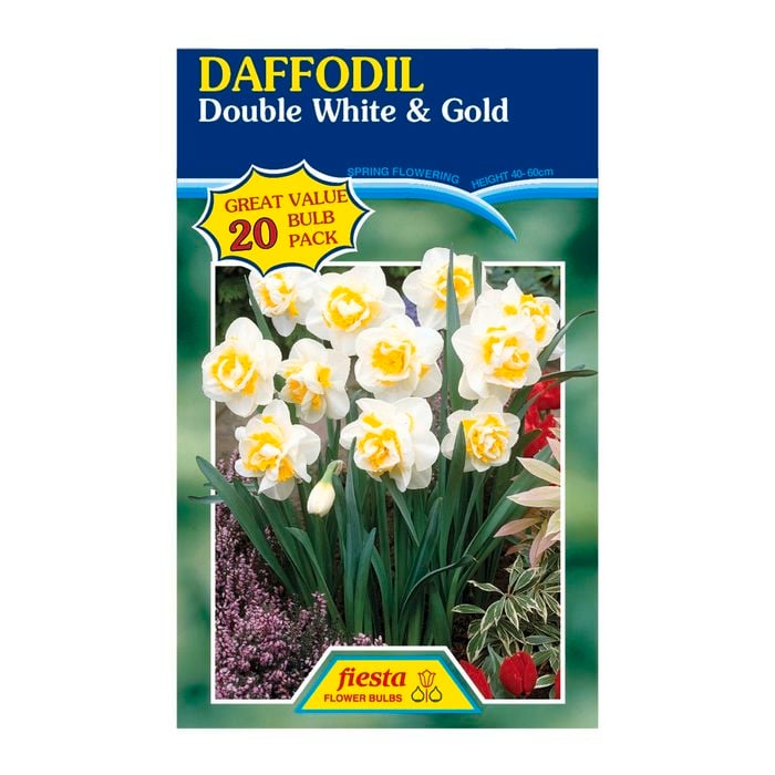 Fiesta Flower Bulbs Daffodil Double White / Gold - 20 Bulbs