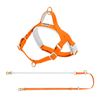 Lolopaws Waterproof PVC Dog Harness & Leash Set Orange XS