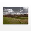 Tree Scenery with B&W Sky  Print 100% Australian Made 90 x 60cm  (Stretched)