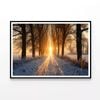 Winter, Tree Alley at Sunset  Print 100% Australian Made 90x60cm  (Poster)