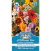 Mr Fothergill's Seed Wildflower Mix