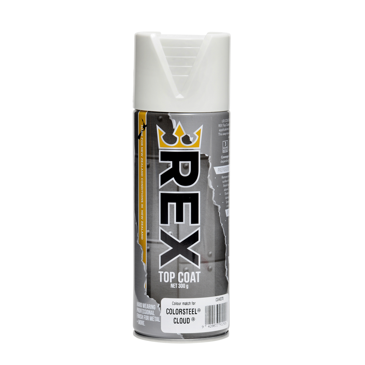 Rex 300g Metal Spray Paint - CS Cloud - Bunnings New Zealand